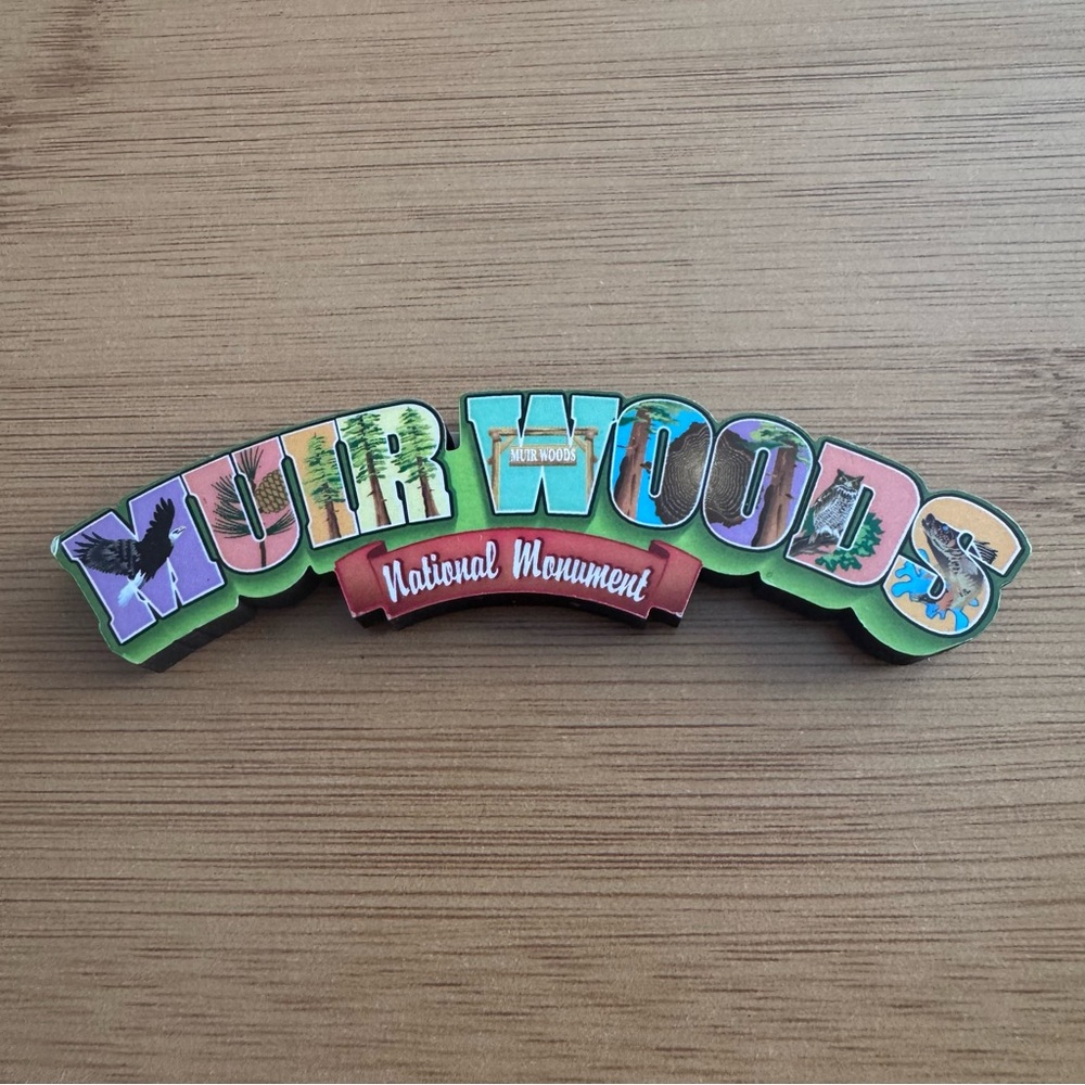 Muir‎ Woods National Monument Park California Colorful Magnet